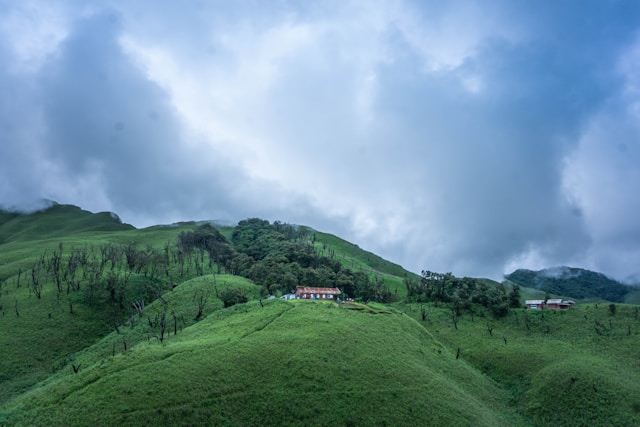 Nagaland