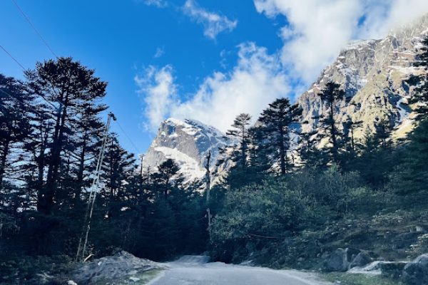 Yumthang Valley in Bloom